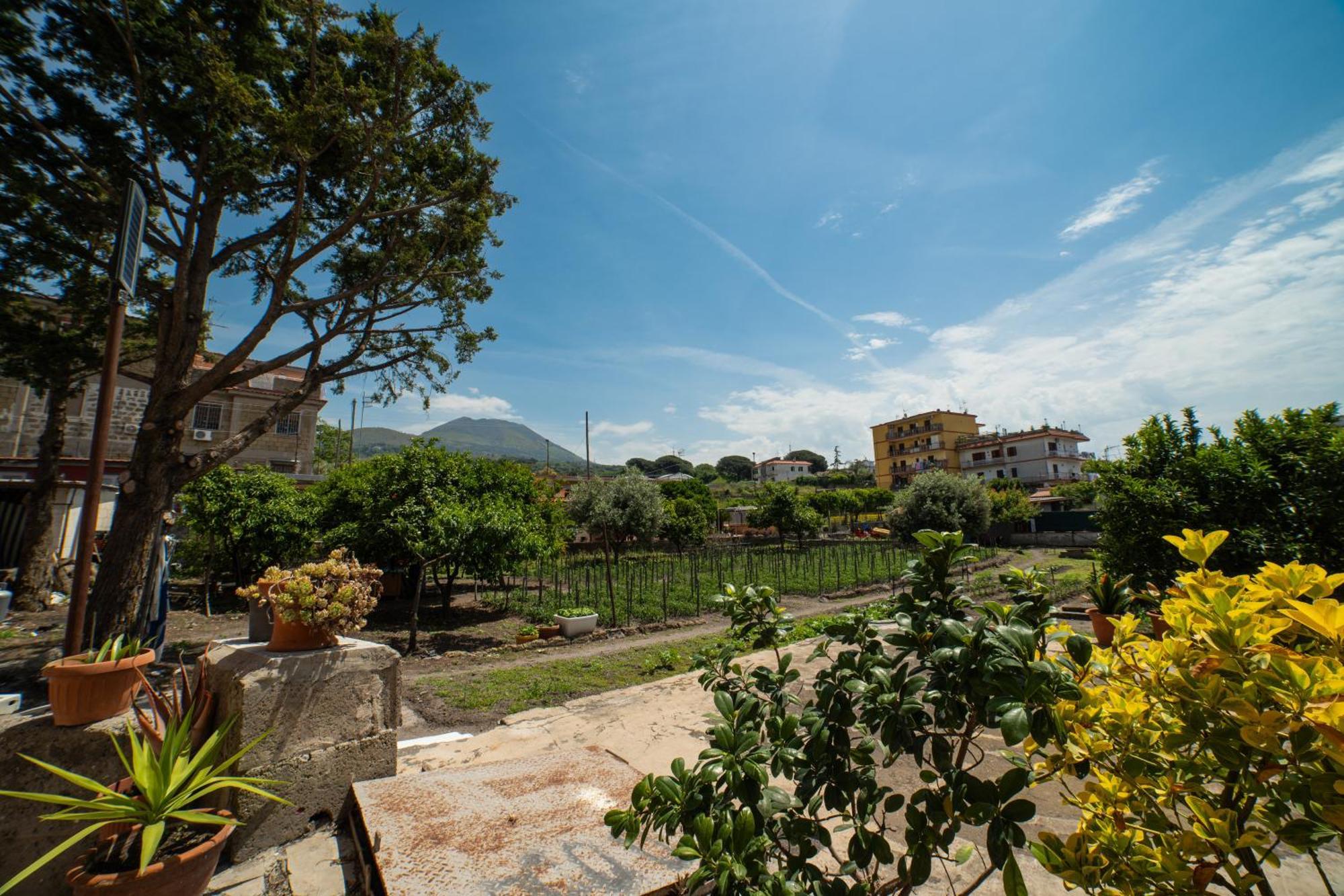 L'Orizzonte Bed & Breakfast Ercolano Exterior photo